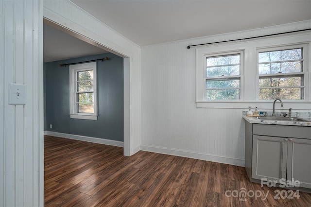 interior space featuring ornamental molding, sink, wooden walls, and dark wood-type flooring