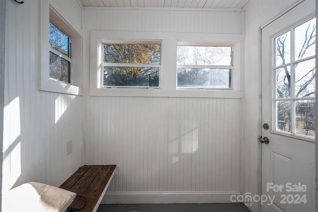 bathroom with wooden walls and a wealth of natural light