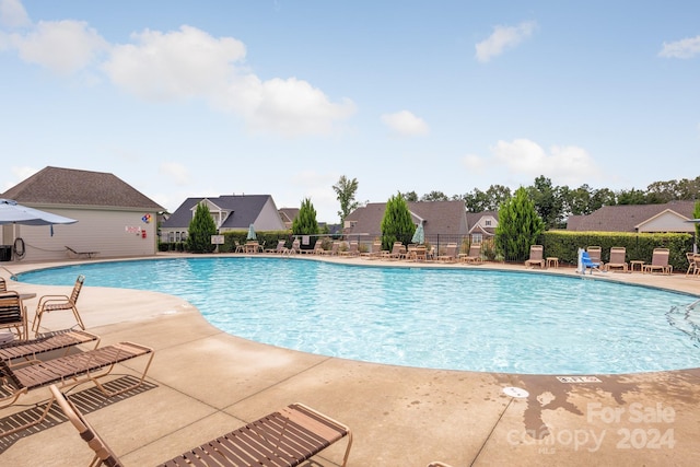 view of pool featuring a patio