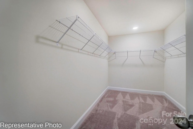 spacious closet featuring light colored carpet