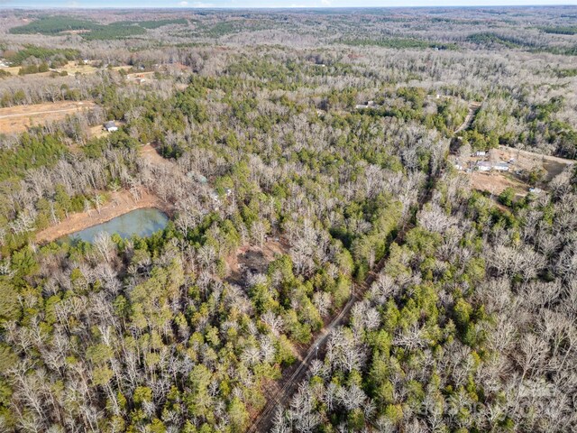 920 Turkey Creek Ridge Rd, York, SC 29745 - photo 13