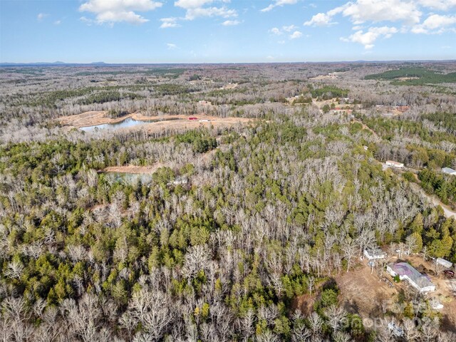 920 Turkey Creek Ridge Rd, York, SC 29745 - photo 15