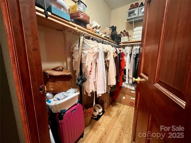 spacious closet featuring light wood-type flooring