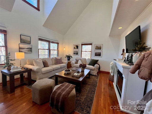 living room featuring dark wood-type flooring and high vaulted ceiling