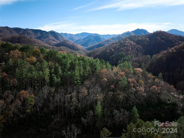 00 Sky Ridge Dr, Bryson City NC, 28713 land for sale