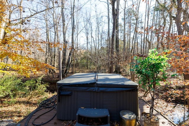 view of yard featuring a hot tub