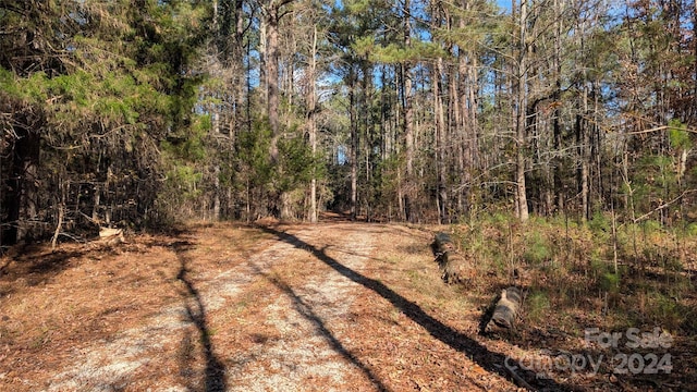 view of local wilderness