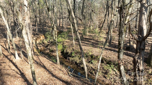 view of local wilderness