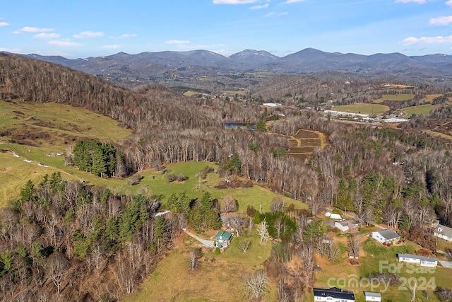 birds eye view of property featuring a mountain view