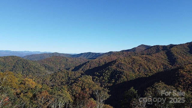 9999 Conleys Crk, Bryson City NC, 28713 land for sale