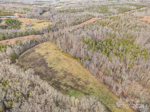 940 Turkey Creek Ridge Rd, York, SC 29745 - photo 9