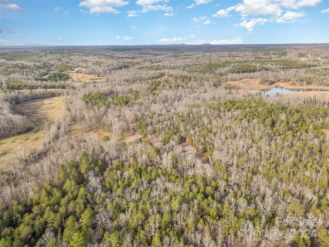 940 Turkey Creek Ridge Rd, York, SC 29745 - photo 13