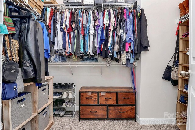 walk in closet with light carpet