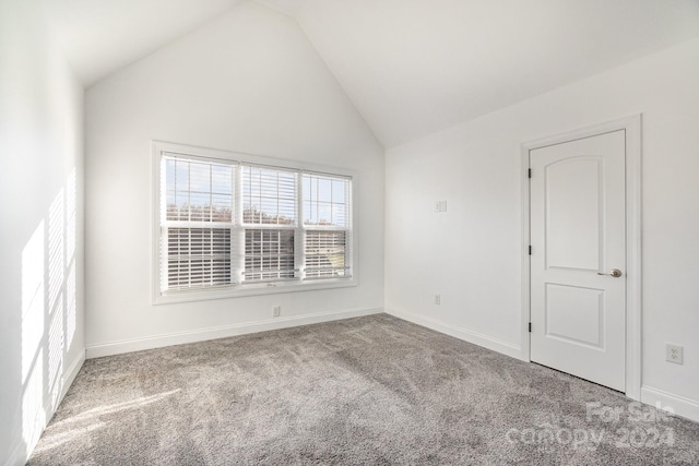 empty room featuring carpet and high vaulted ceiling