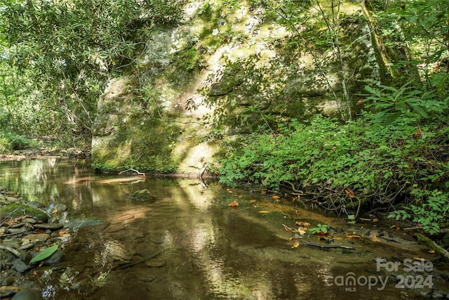 view of local wilderness featuring a water view