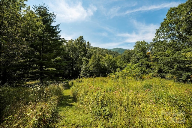 view of landscape