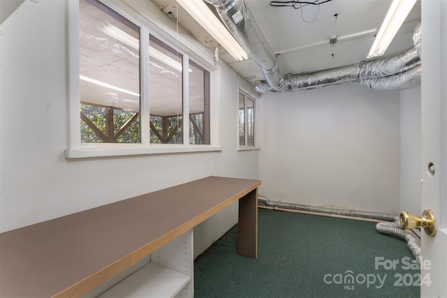 carpeted home office featuring plenty of natural light