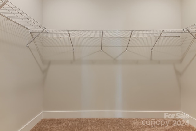 walk in closet with carpet