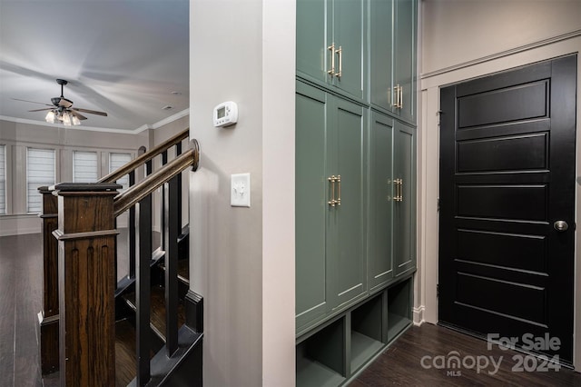 mudroom with dark hardwood / wood-style floors, ceiling fan, and crown molding