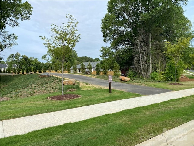 view of home's community with a lawn