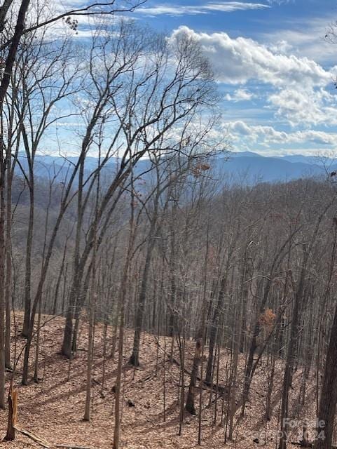 00 Signature Row Blvd Unit 23, Waynesville NC, 28785 land for sale