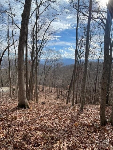 Listing photo 3 for 00 Signature Row Blvd Unit 23, Waynesville NC 28785