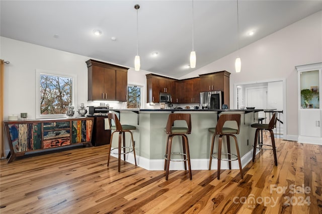 kitchen featuring dark brown cabinets, light hardwood / wood-style floors, stainless steel appliances, and hanging light fixtures