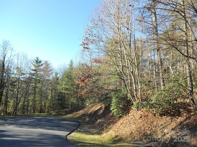 000 Didrikson Way Unit 244, Hendersonville NC, 28739 land for sale