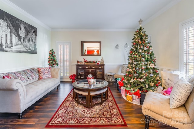 living room featuring crown molding and dark wood-type flooring