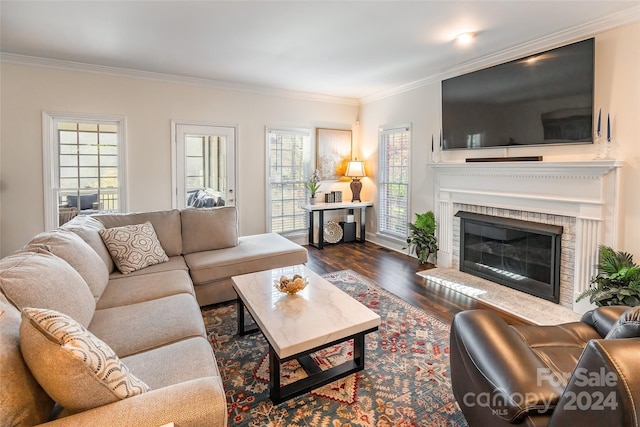 living room with dark hardwood / wood-style floors, ornamental molding, and a fireplace