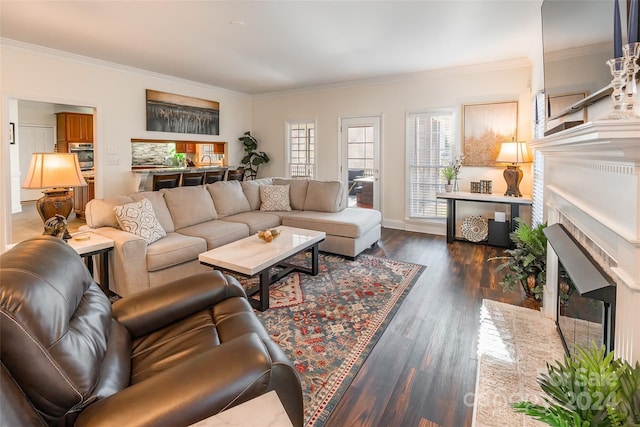 living room with dark hardwood / wood-style flooring and ornamental molding