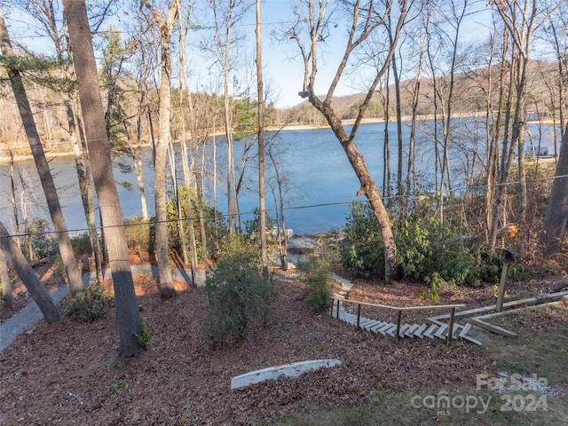 1679 Woods Mountain Trl, Cullowhee, NC 28723 - water view