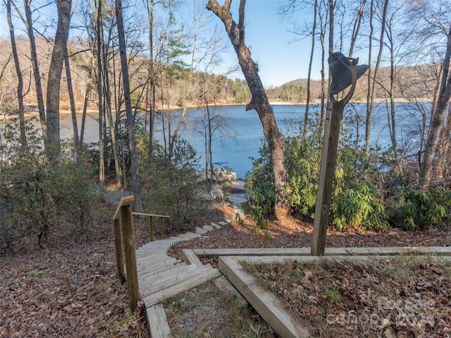 1679 Woods Mountain Trl, Cullowhee, NC 28723 - water view