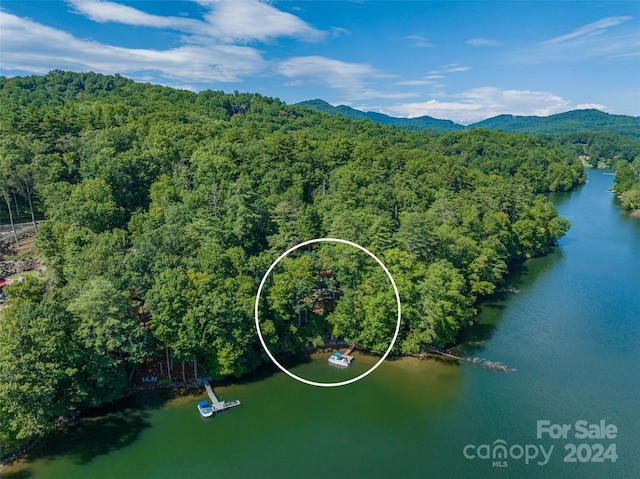 bird's eye view with a water and mountain view