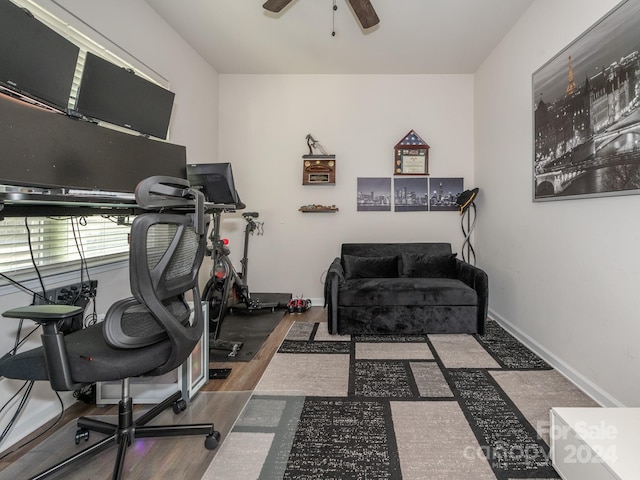 workout room featuring dark hardwood / wood-style flooring and ceiling fan