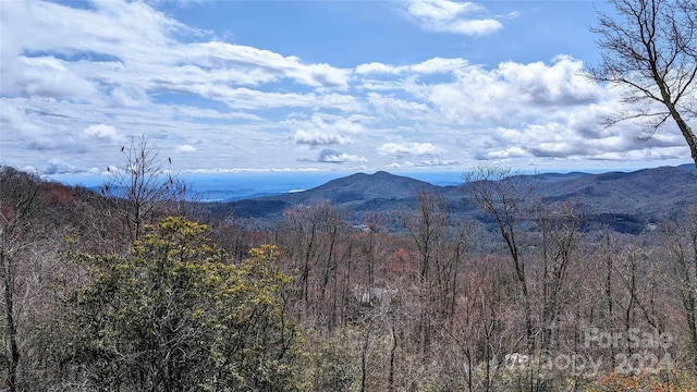 Listing photo 2 for 18 White Tail Dr, Sapphire NC 28774