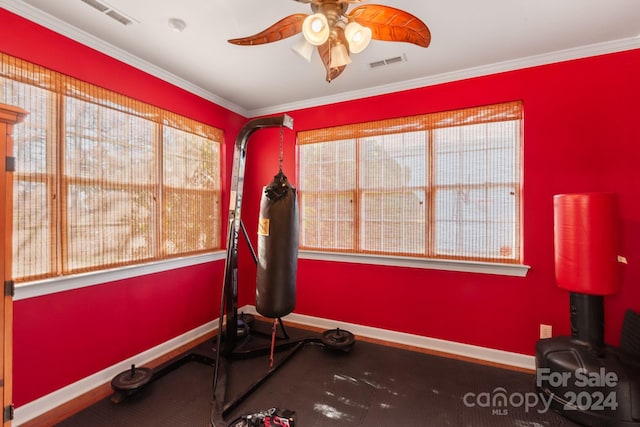 exercise area with ceiling fan and ornamental molding