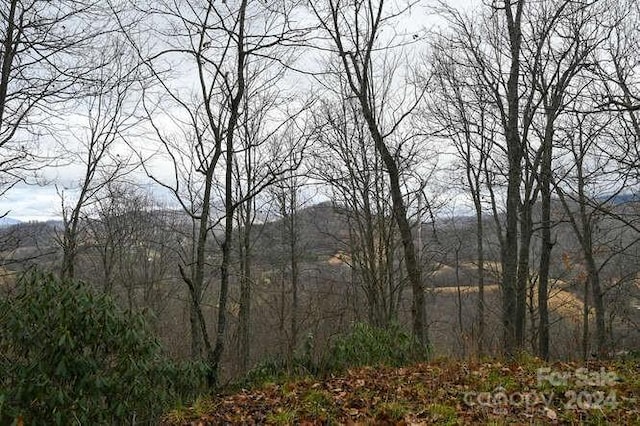 Listing photo 2 for 19 Flowing Hills Dr Unit 19, 20, Clyde NC 28721