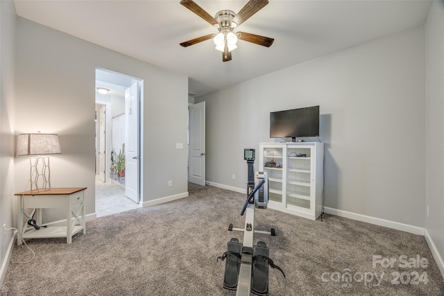 exercise room featuring ceiling fan and carpet floors