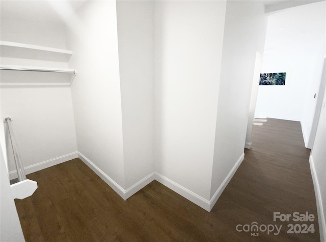 spacious closet featuring dark wood-type flooring