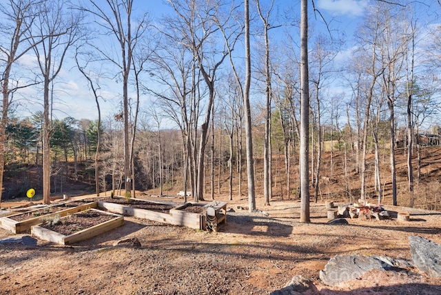 view of yard with a wooded view and a garden