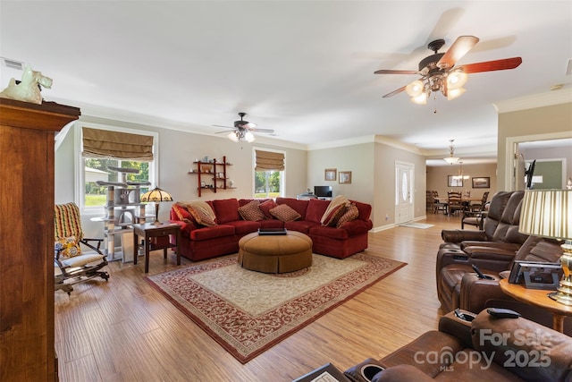 living room featuring crown molding, plenty of natural light, light wood finished floors, and ceiling fan