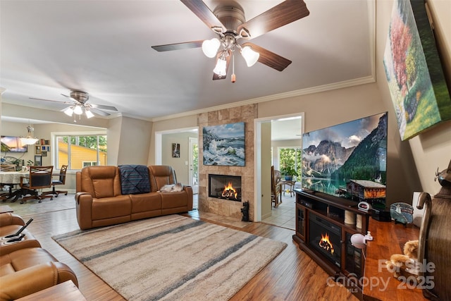 living area featuring ceiling fan, wood finished floors, a fireplace, and ornamental molding