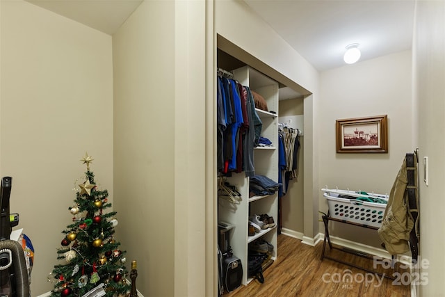 spacious closet featuring wood finished floors