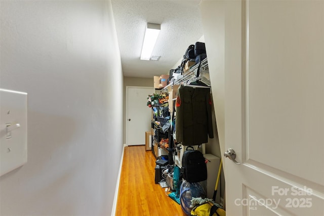 walk in closet with light wood-type flooring