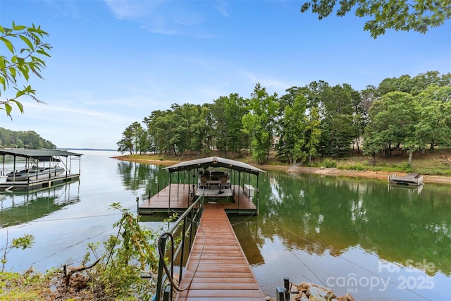 dock area with a water view