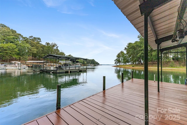 dock area with a water view