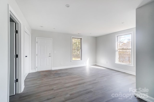 empty room featuring a healthy amount of sunlight and wood-type flooring