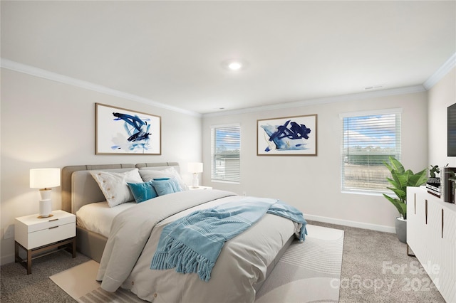 carpeted bedroom with ornamental molding and multiple windows