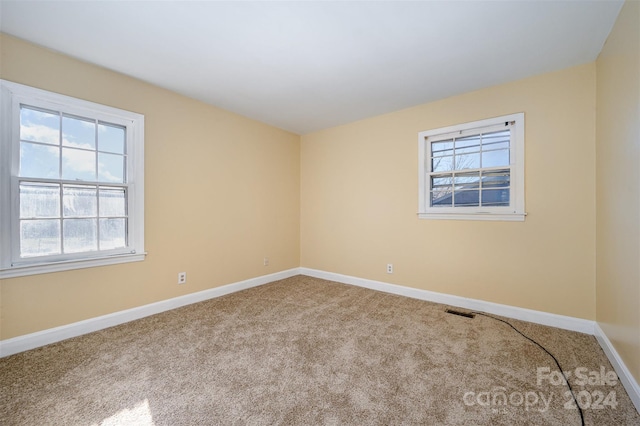 empty room featuring carpet and a healthy amount of sunlight